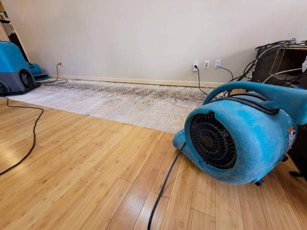 Reliable Basement Flood Cleanup contractor in Kendleton, TX by Hirex Water Damage
