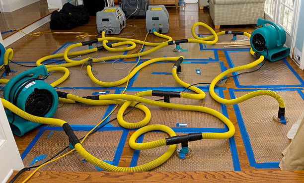 Professional Basement Flood Cleanup technician working in Kendleton, TX
